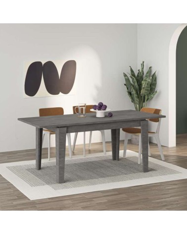 Tavolo allungabile Megaron retro grey 120x80 cm.