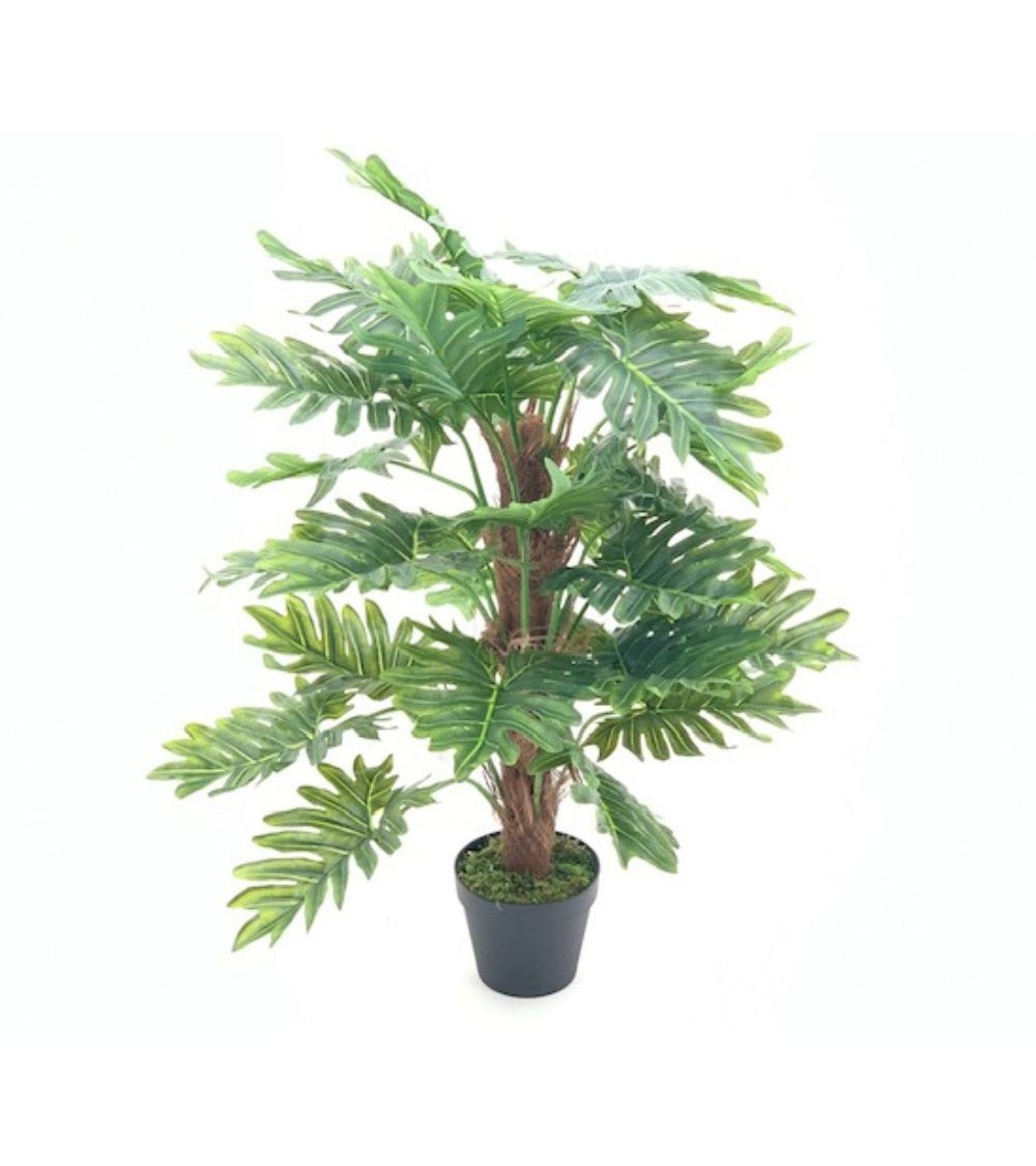 Pianta ornamentale Philo a foglie verdi con vaso 73 cm.