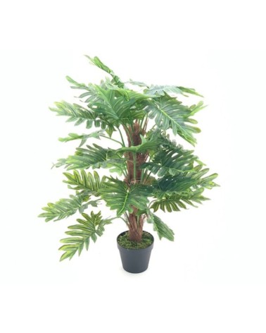 Pianta ornamentale Philo a foglie verdi con vaso 73 cm.