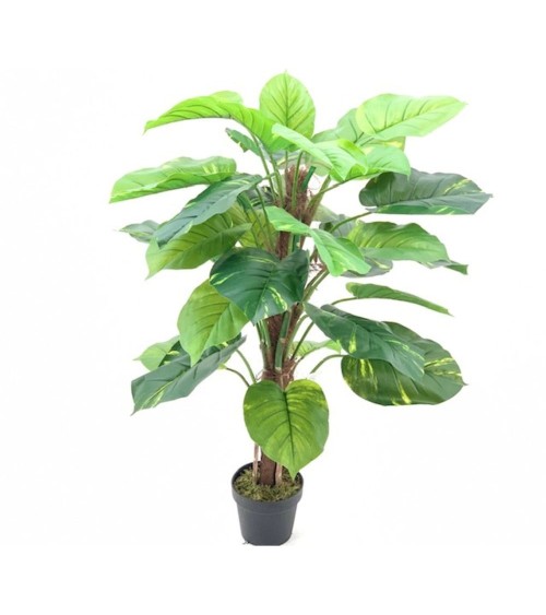 Pianta ornamentale Pothos a foglie verdi con vaso 120 cm.