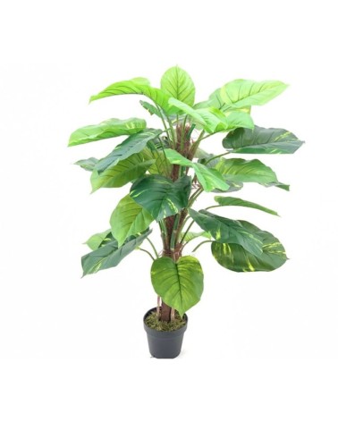 Pianta ornamentale Pothos a foglie verdi con vaso 120 cm.