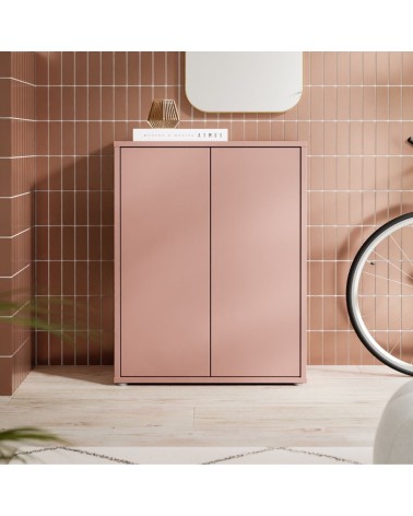 Mobile multiuso Medea 2 ante colore terracotta 74.5x34.9xH 99.1 cm.