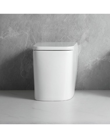 WC filo muro FT54D a pavimento in ceramica bianco 54x36x42H cm.