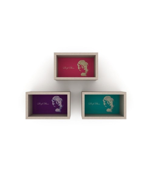 Libreria pensile Monroe composta da 3 quadri RF141104