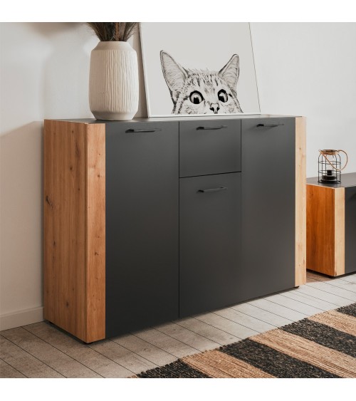 Madia Cento 01B con 3 ante e 1 cassetto colore antracite e laterali legno rovere artisan