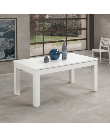 Tavolo allungabile Lipsia 160x90 in bianco frassinato