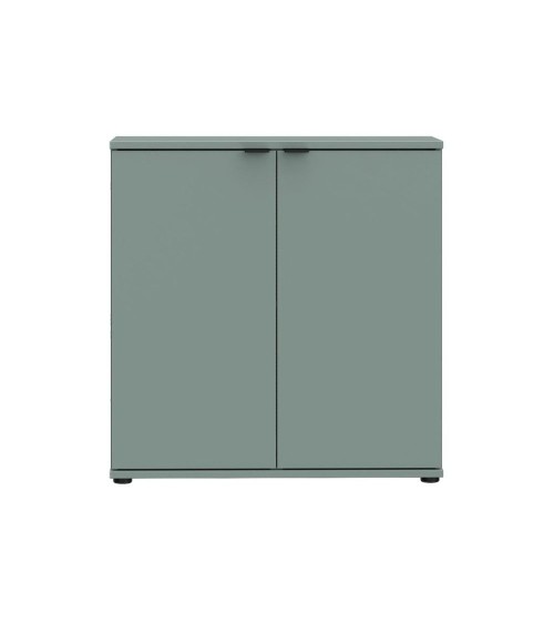 Mobile multiuso Segno con due ante  L 80 cm. colore verde salvia