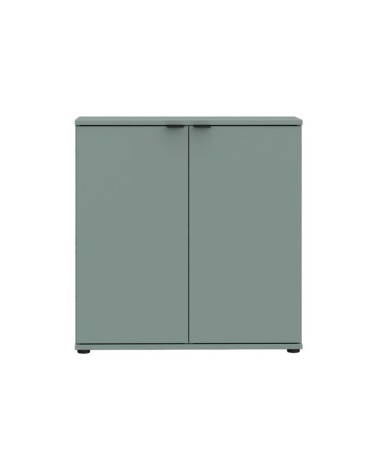 Mobile multiuso Segno con due ante  L 80 cm. colore verde salvia