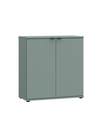 Mobile multiuso Segno con due ante  L 80 cm. colore verde salvia