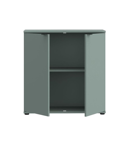 Mobile multiuso Segno con due ante  L 80 cm. colore verde salvia