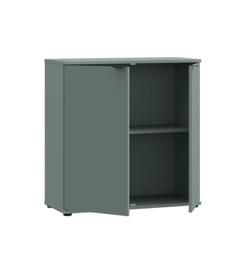 Mobile multiuso Segno con due ante  L 80 cm. colore verde salvia