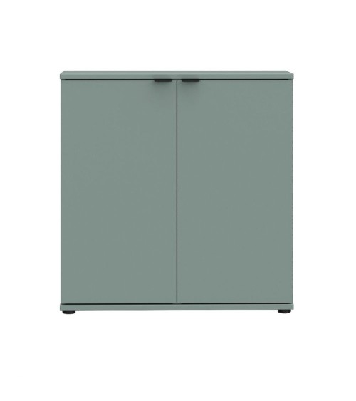 Mobile multiuso Segno con due ante  L 80 cm. colore verde salvia