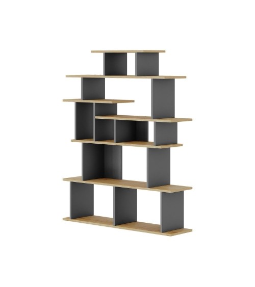 Libreria design Apollon rovere e antracite
