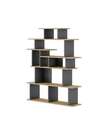 Libreria design Apollon rovere e antracite
