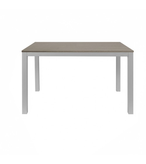 Tavolo allungabile 120x80 struttura alluminio e piano larice grigio Monster