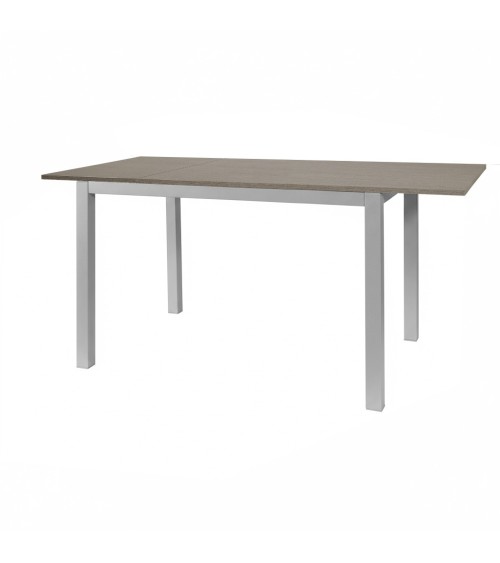 Tavolo allungabile 120x80 struttura alluminio e piano larice grigio Monster