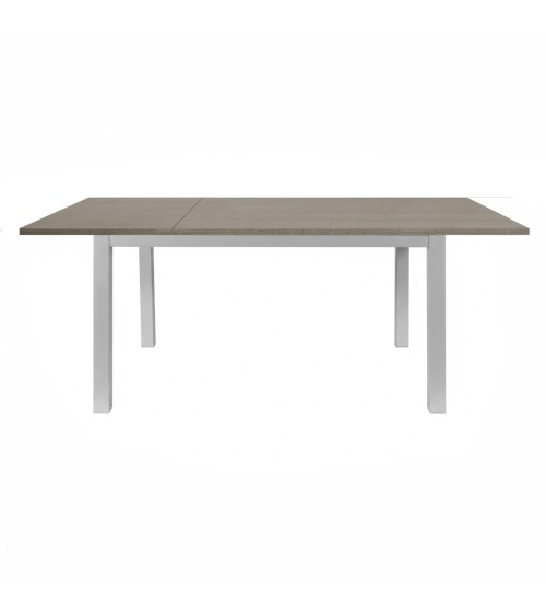 Tavolo allungabile 120x80 struttura alluminio e piano larice grigio Monster