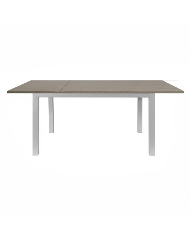 Tavolo allungabile 120x80 struttura alluminio e piano larice grigio Monster