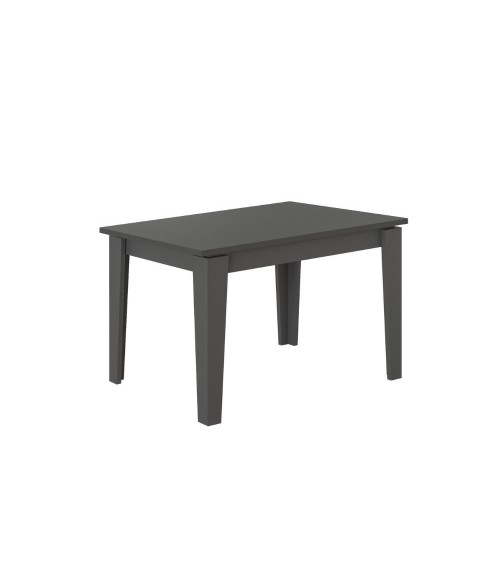 Tavolo allungabile Megaron antracite 120x80 cm