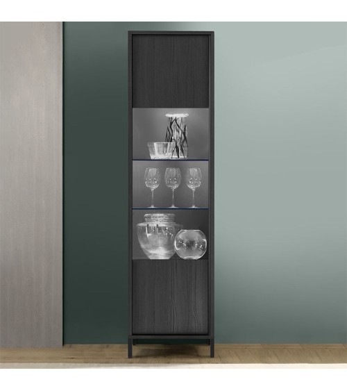 Vetrina Giugi con anta nero frassinato 55x40x203