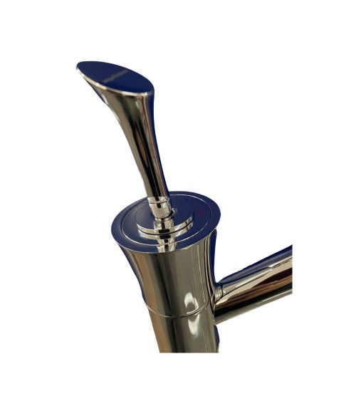 Miscelatore cucina Regina cromo