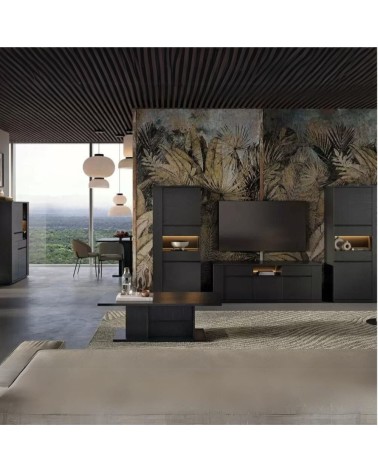 Vetrina credenza Alce 2 ante nero con particolari oro