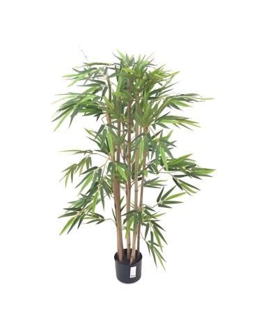 Pianta di Bamboo ornamentale 140 cm. 560 foglie