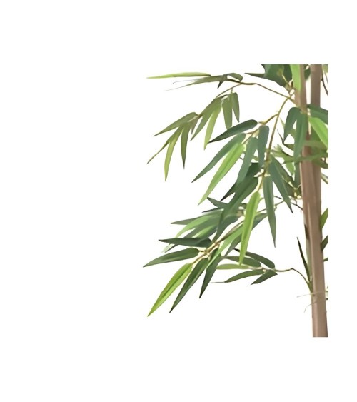 Pianta di Bamboo ornamentale 140 cm. 560 foglie