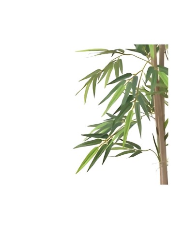 Pianta di Bamboo ornamentale 140 cm. 560 foglie