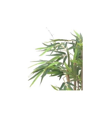 Pianta di Bamboo ornamentale 140 cm. 560 foglie