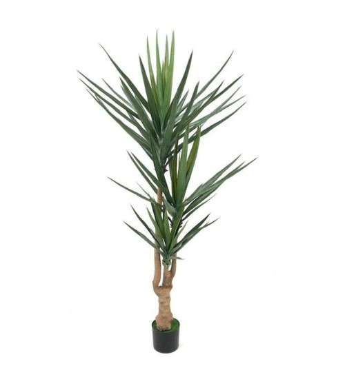 Pianta ornamentale Yucca 180 cm 79 foglie con vaso