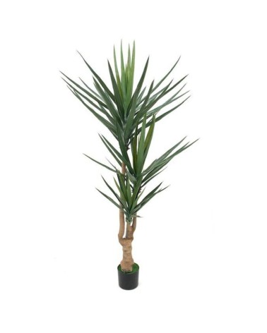 Pianta ornamentale Yucca 180 cm 79 foglie con vaso