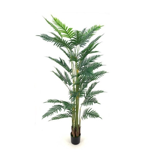 Pianta ornamentale Palma Areca 180 cm. con vaso