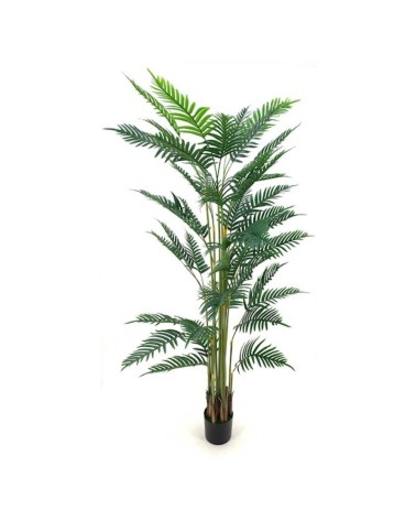 Pianta ornamentale Palma Areca 180 cm. con vaso