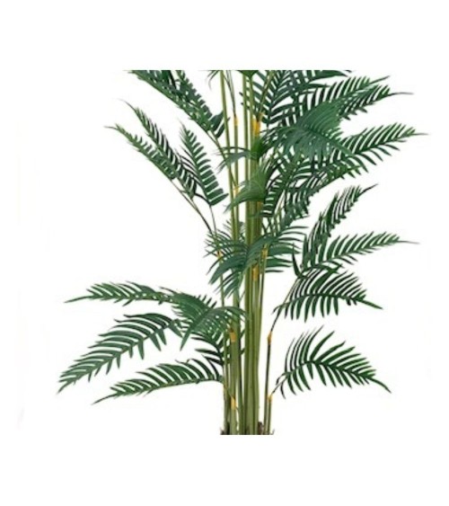 Pianta ornamentale Palma Areca 180 cm. con vaso