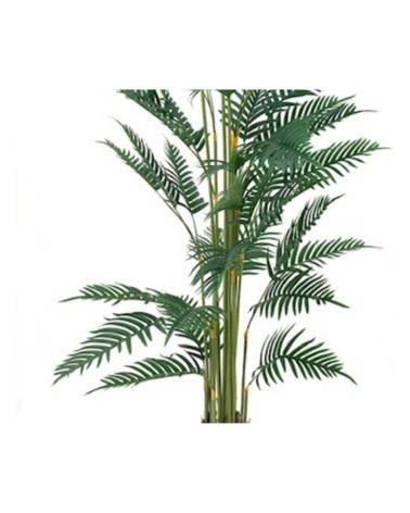 Pianta ornamentale Palma Areca 180 cm. con vaso