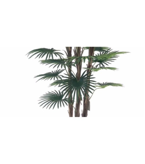 Pianta ornamentale Palma Camerux 140 cm. con vaso