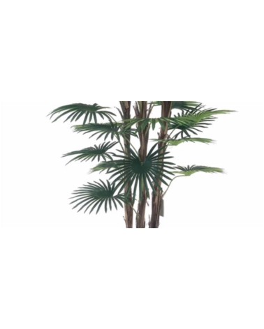 Pianta ornamentale Palma Camerux 140 cm. con vaso