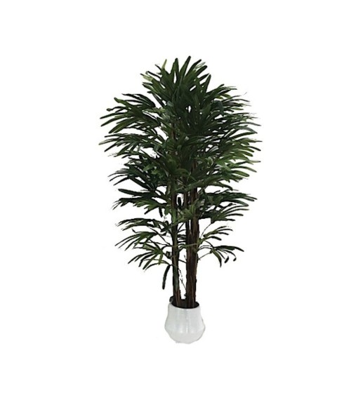 Pianta ornamentale Fan Palm 140 cm. 400 foglie con vaso