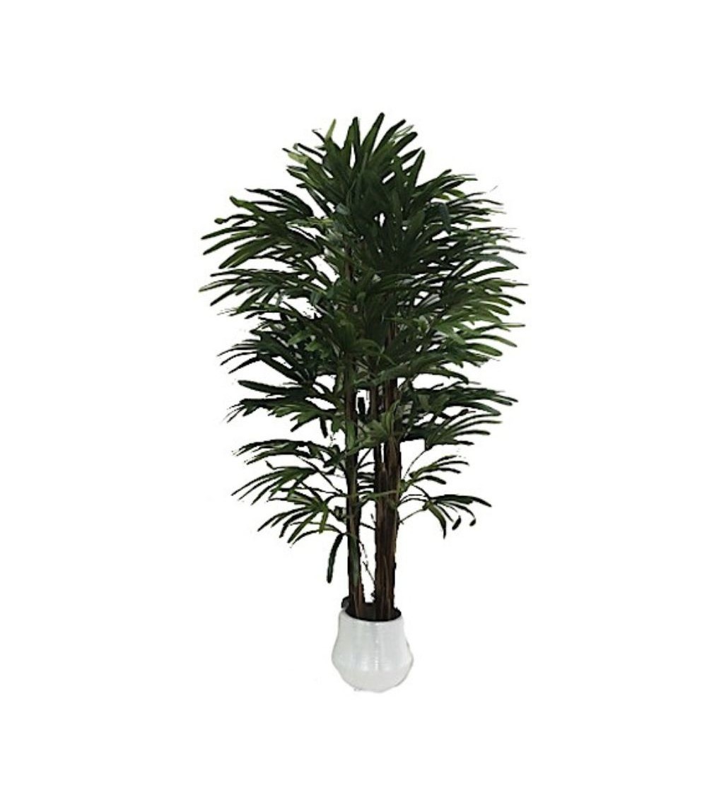 Pianta ornamentale Fan Palm 140 cm. 400 foglie con vaso