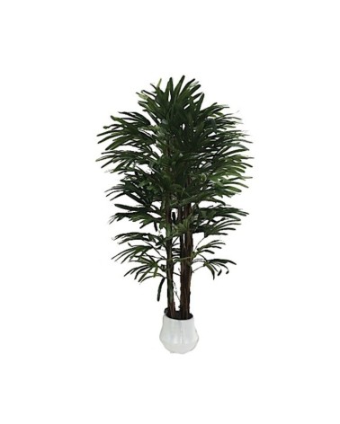 Pianta ornamentale Fan Palm 140 cm. 400 foglie con vaso