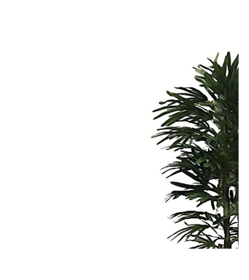 Pianta ornamentale Fan Palm 140 cm. 400 foglie con vaso