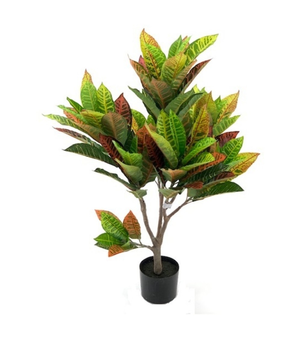 Pianta di Croton ornamentale 110 cm. 97 foglie