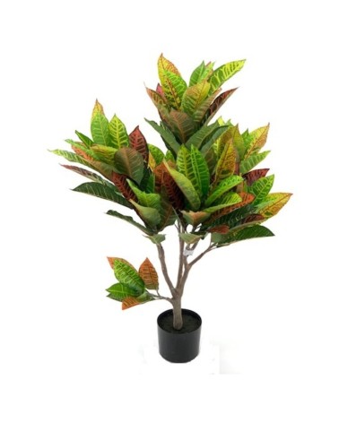 Pianta di Croton ornamentale 110 cm. 97 foglie