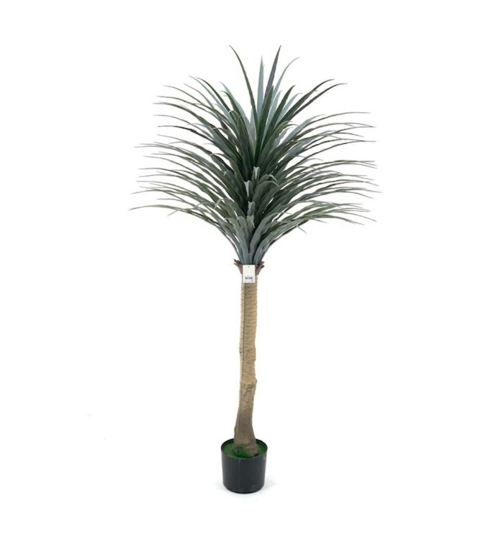 Pianta ornamentale di Dracena 150 cm con vaso