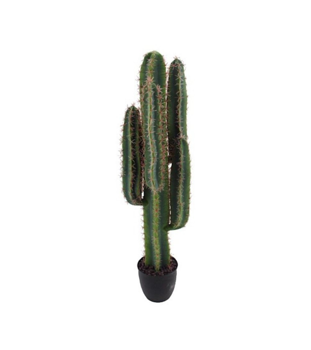 Pianta ornamentale di Cactus 108 cm con vaso