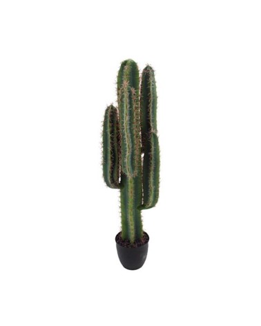 Pianta ornamentale di Cactus 108 cm con vaso